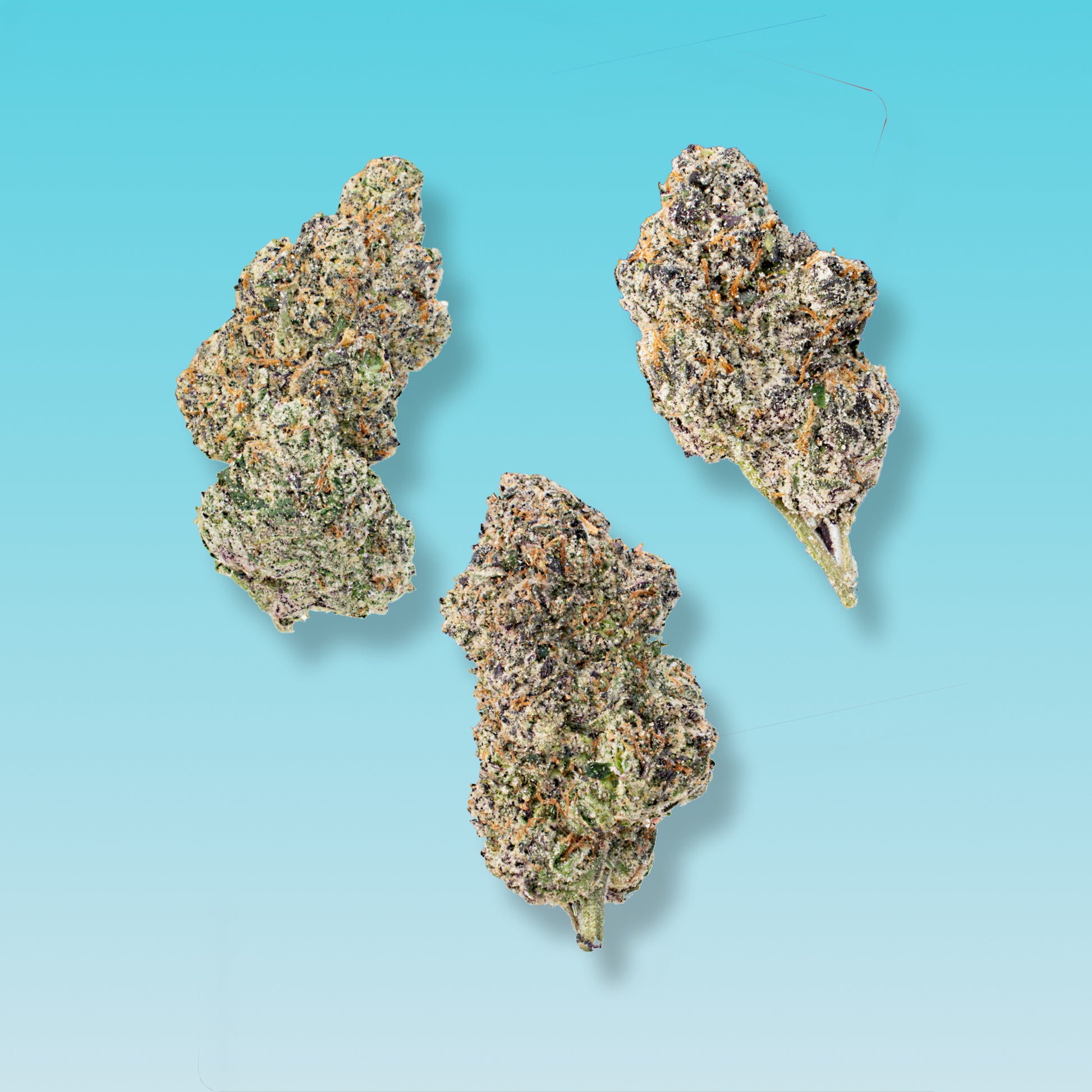 THCA Flower (Indoor) Sampler