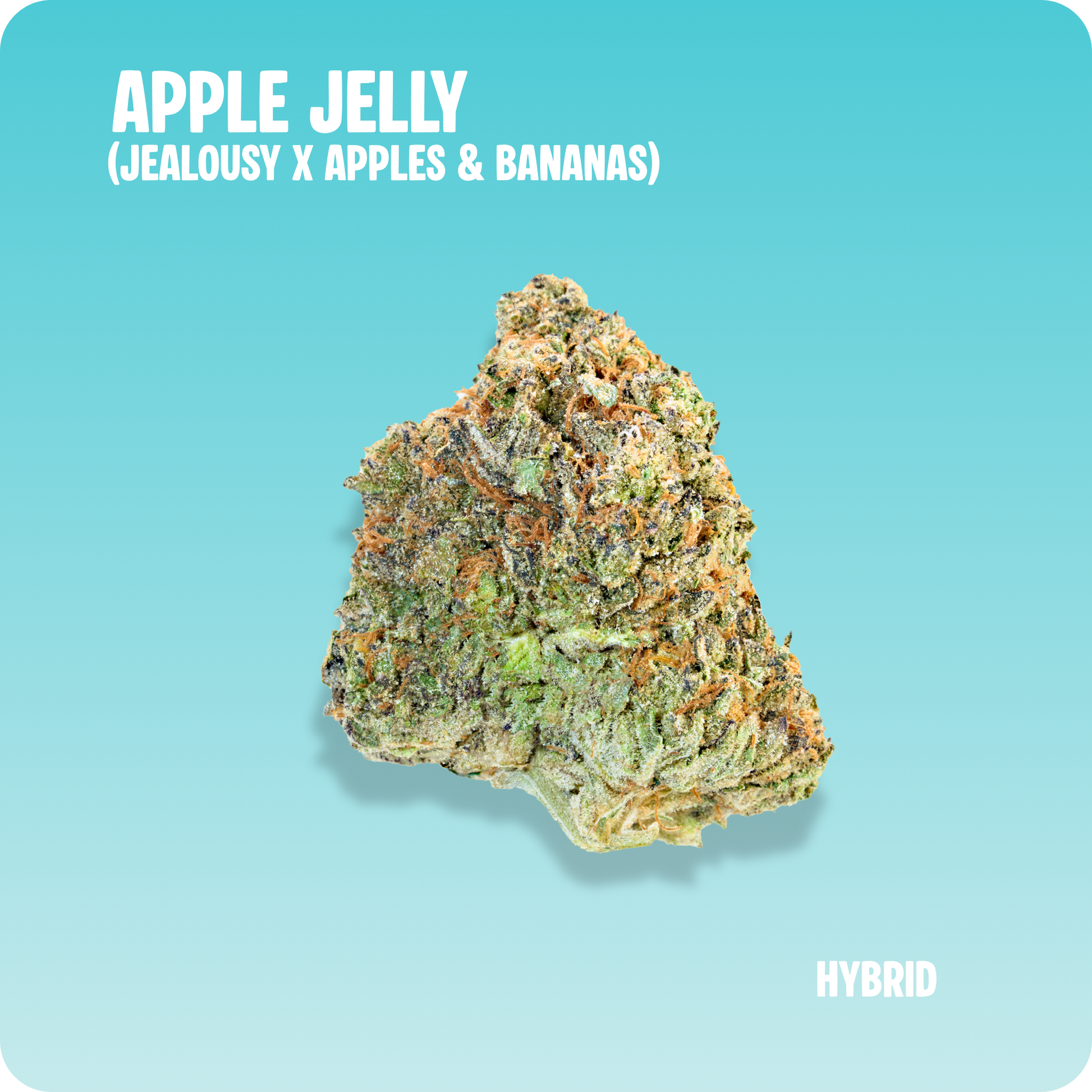 Apple Jelly