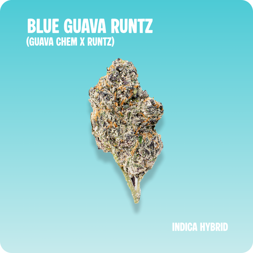 Blue Guava Runtz