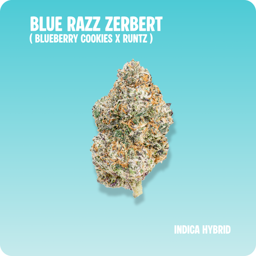 Blue Razz Zerbert