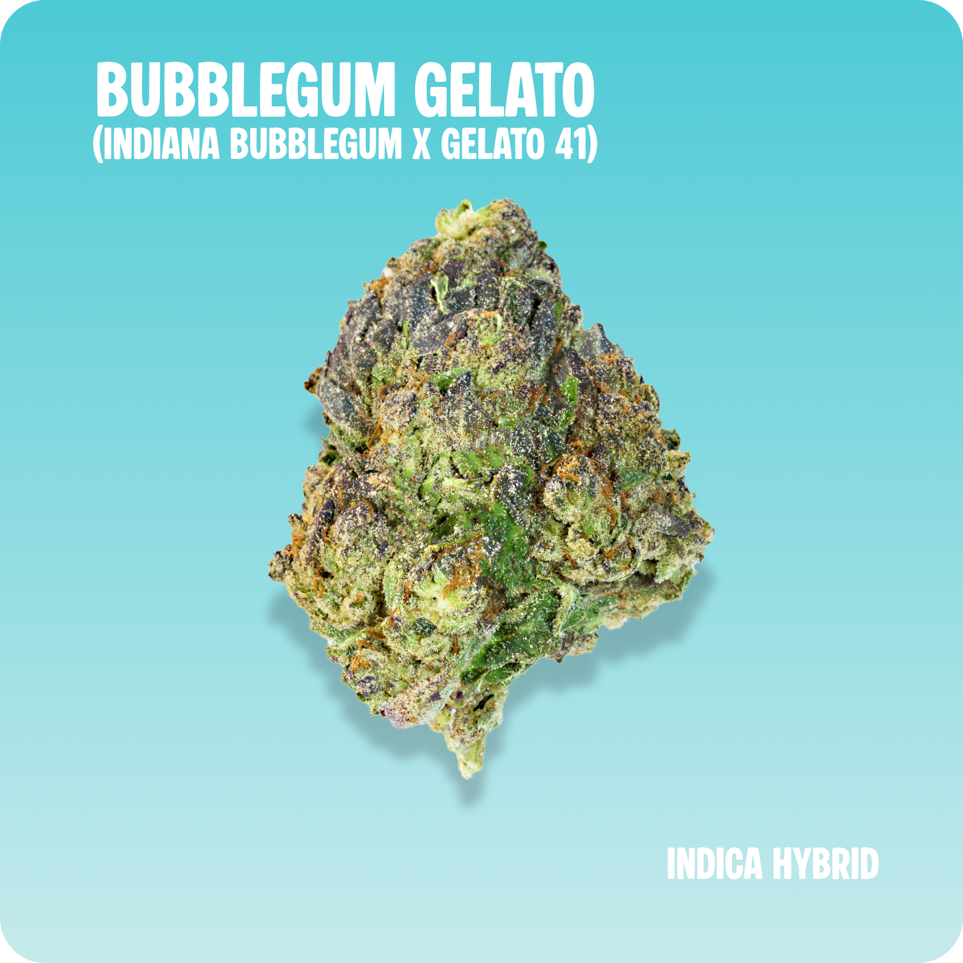 Bubblegum Gelato