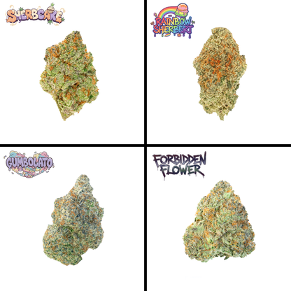 Best Sellers Bundle (14g)