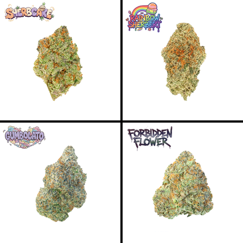 Best Sellers Bundle (14g)