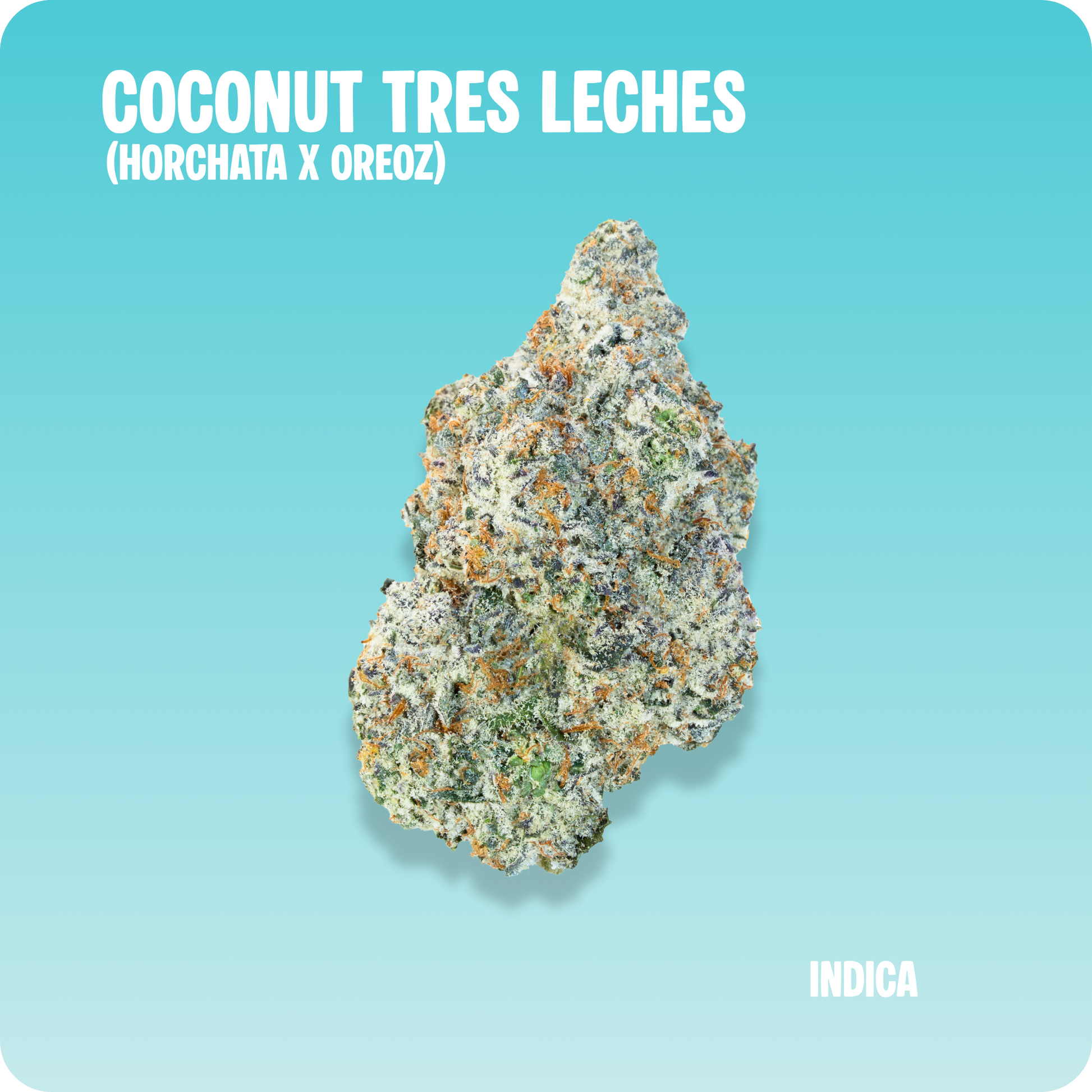 Coconut Tres Leches