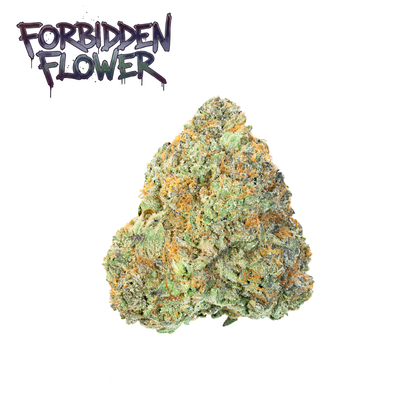 Best Sellers Bundle (14g)