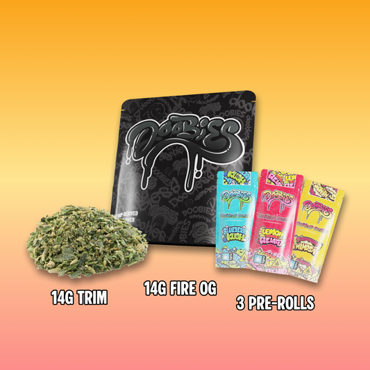 Summer Bundle