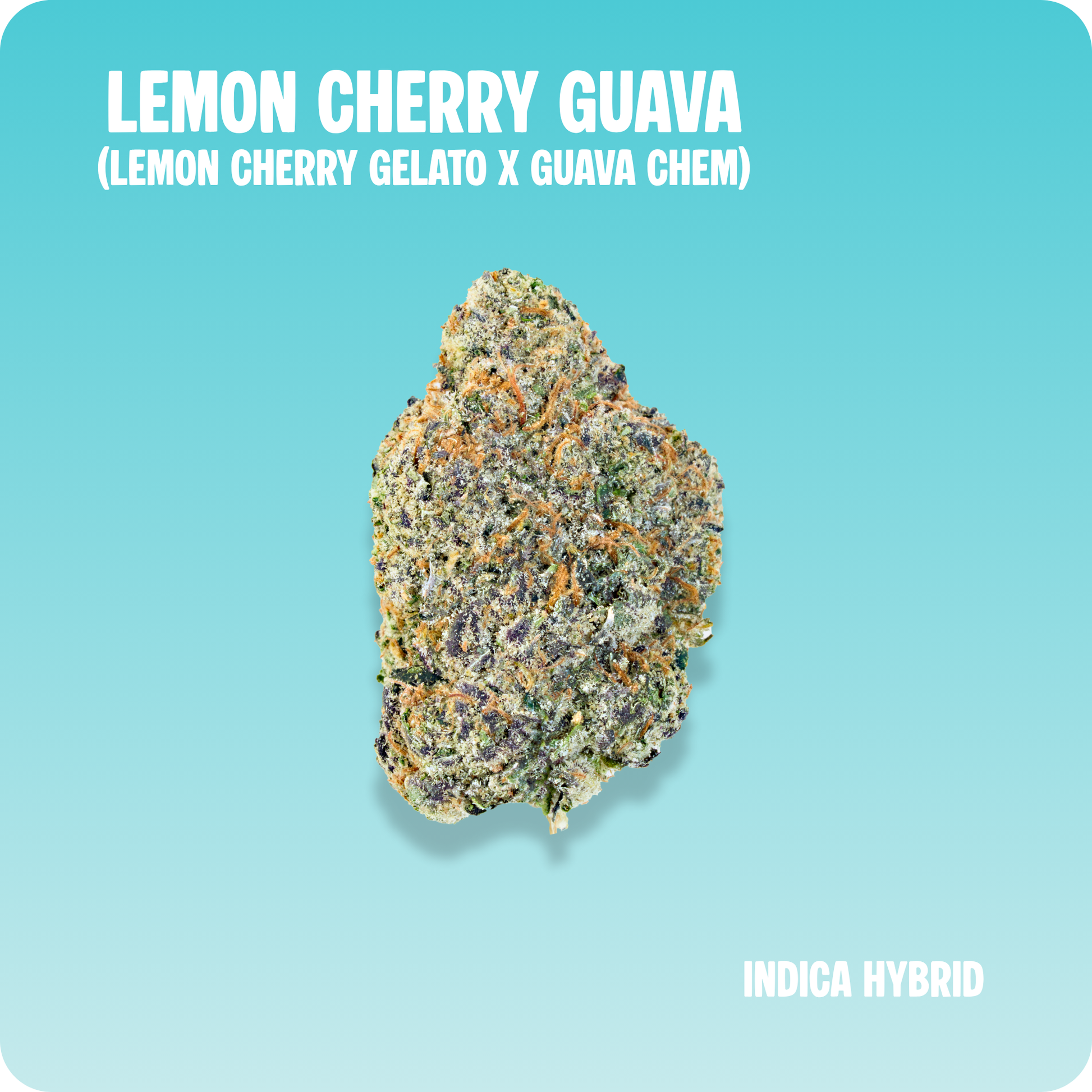 Lemon Cherry Guava