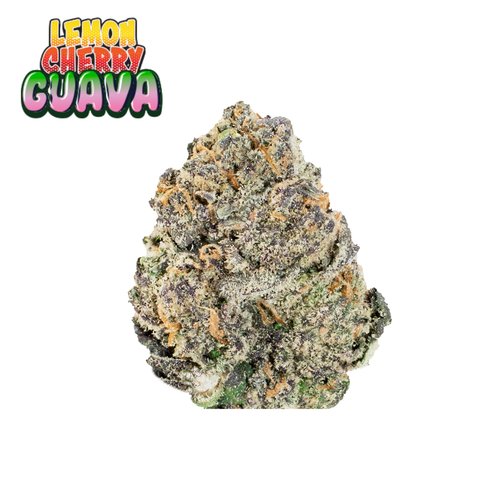 Lemon Cherry Guava