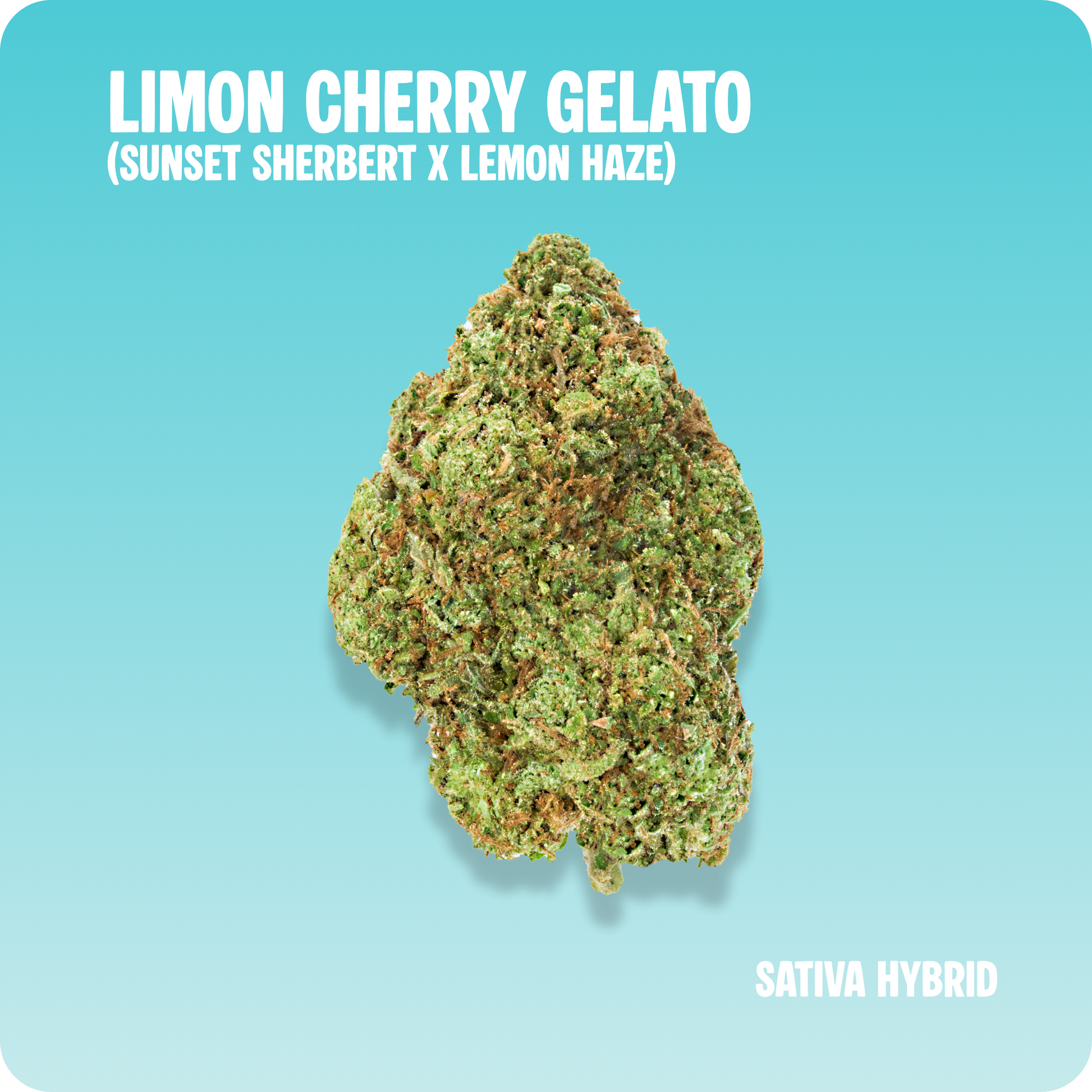 Limon Cherry Gelato