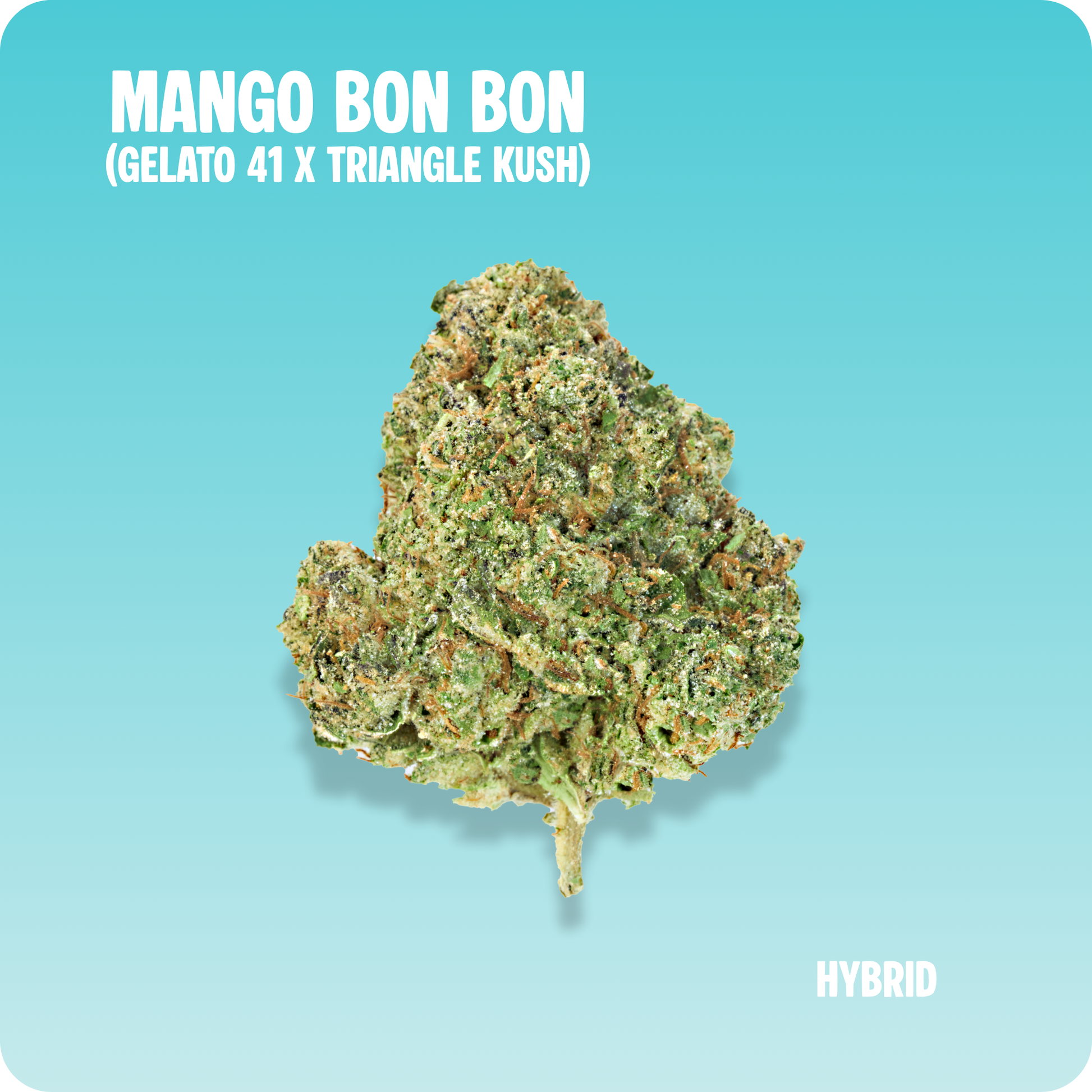 Mango Bon Bon