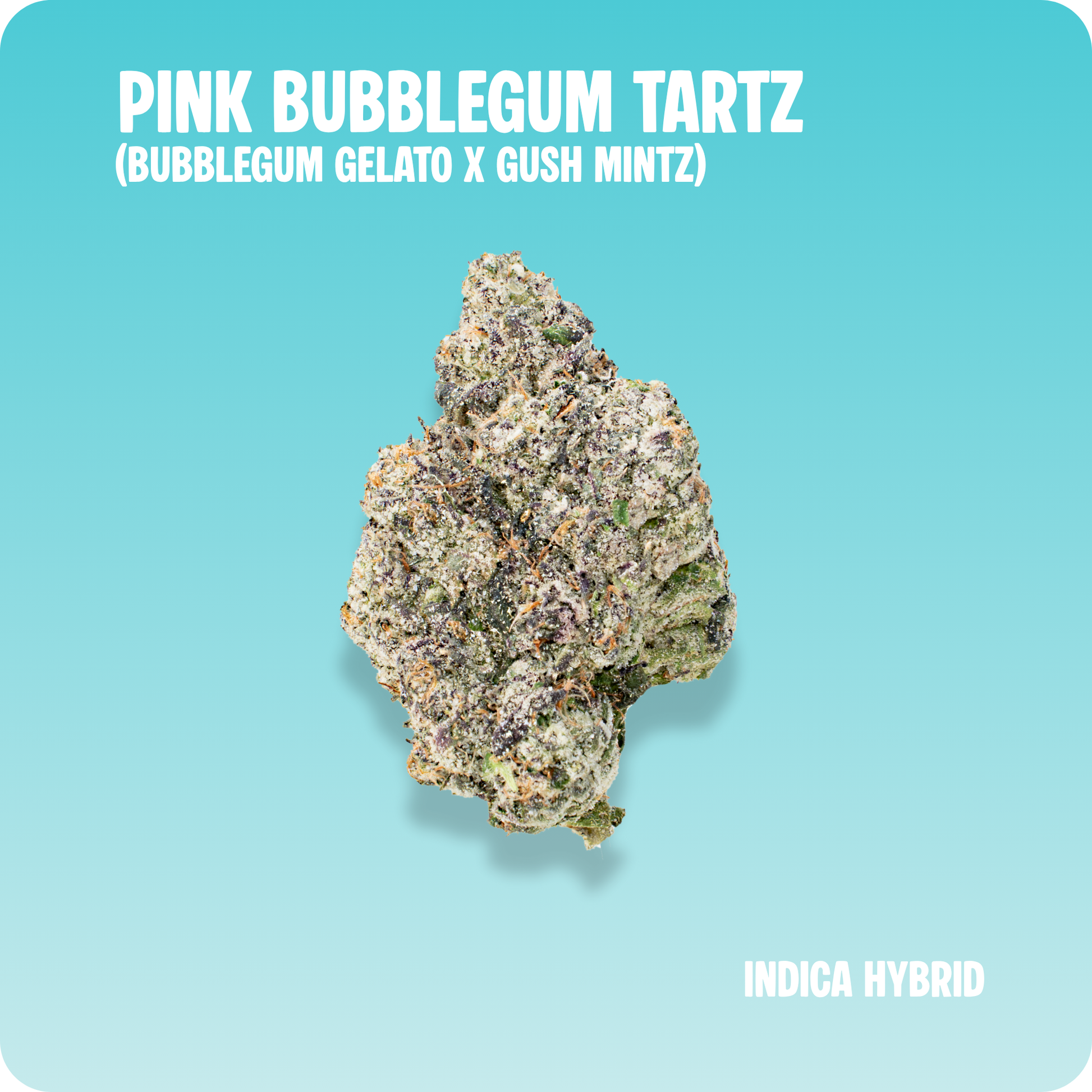 Pink Bubblegum Tartz