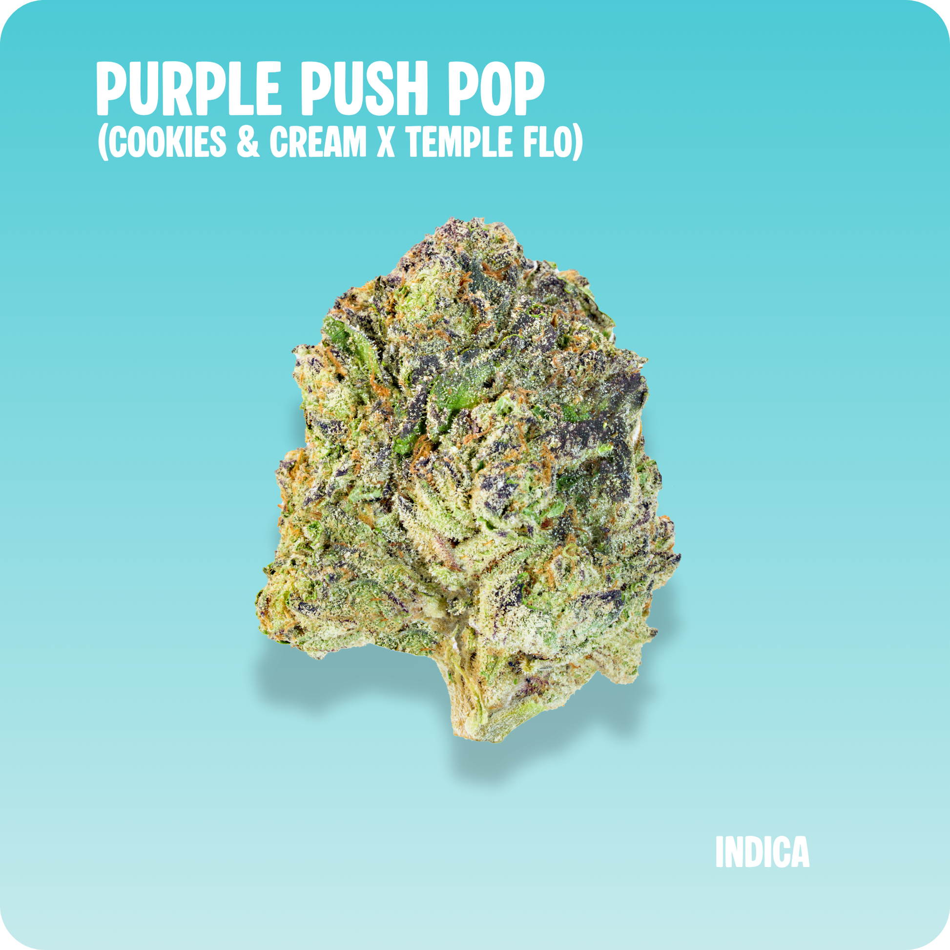 Purple Push Pop