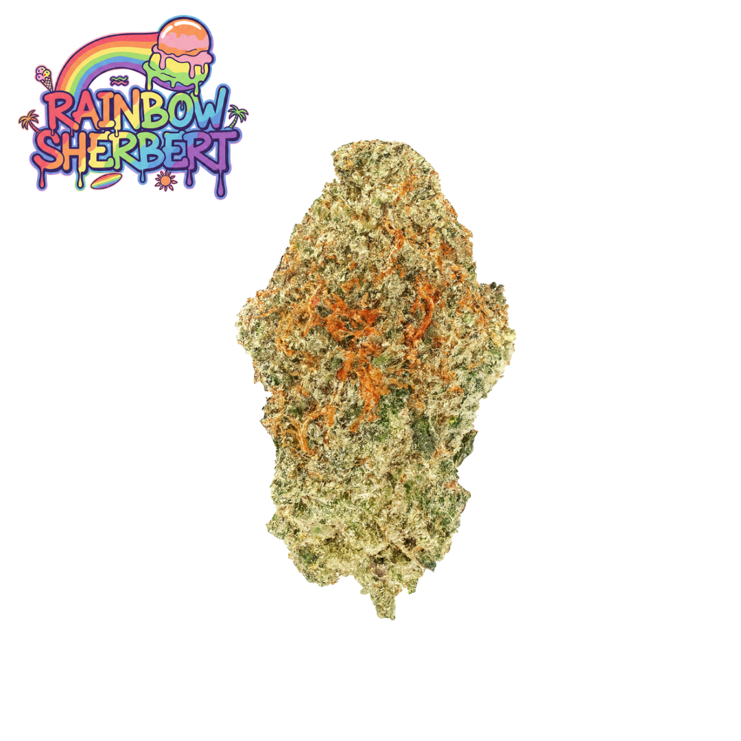 Best Sellers Bundle (14g)