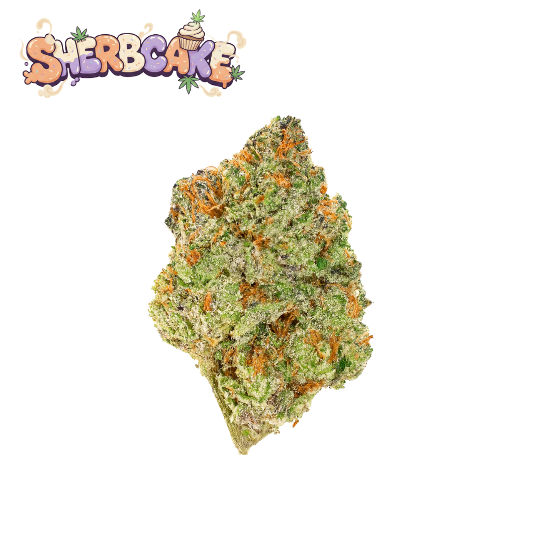 Best Sellers Bundle (14g)