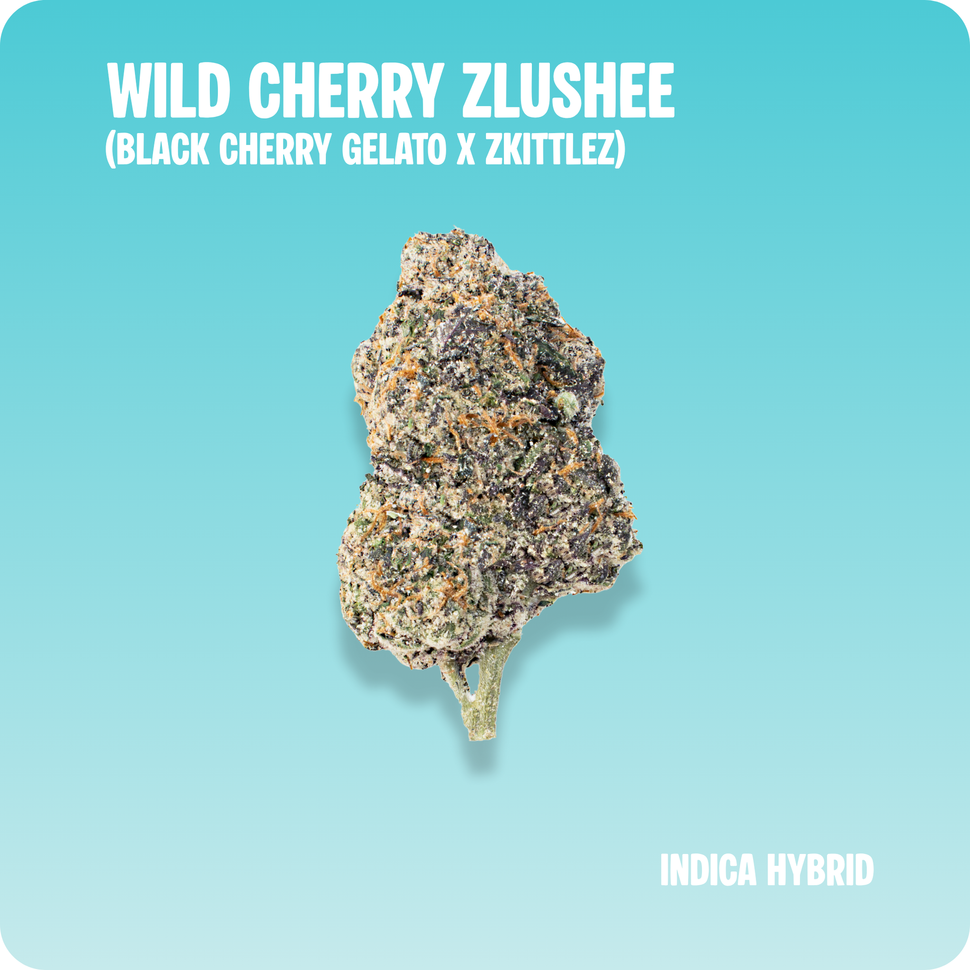 Wild Cherry Zlushee